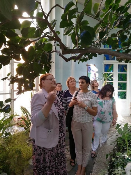 Натисніть для перегляду збільшеного зображення