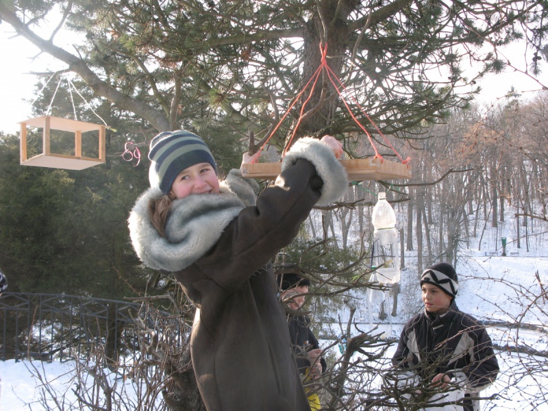 Розвішуємо годівнички
