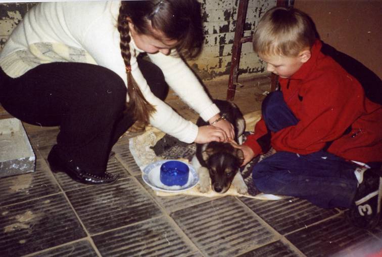 Допомога тваринам